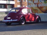 DSC00285.jpg