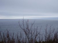 P2080010 (Medium).JPG