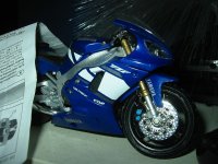 TZR- 086 (Medium).jpg