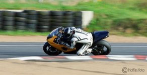 gul och svart2_redigerad-1.jpg