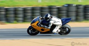 gul och svart4_redigerad-1.jpg