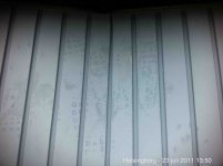 Photo 2011-07-23 13 50 21.jpg