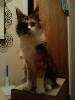 2010-10-02 19.54.29.jpg