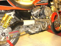 IMG_3113.jpg