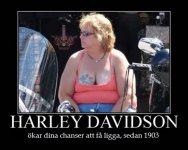 hd babe.jpg