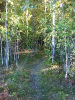 IMG_1414.jpg