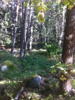 IMG_1420.jpg