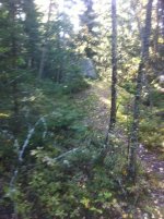IMG_1429.jpg