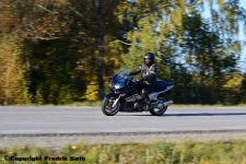 DSC_7147.jpg