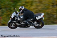 DSC_7174.jpg