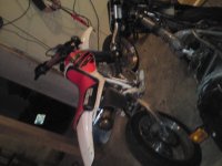 DSC00444.jpg