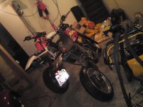 DSC00447.jpg