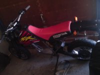 DSC00464.jpg