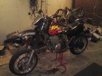 DSC00473.jpg