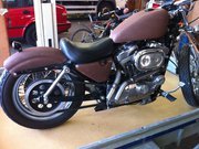 sportster.jpg