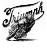 totoo caferacer.jpg
