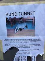HundFunnet.jpg