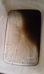 IMAG0204.jpg