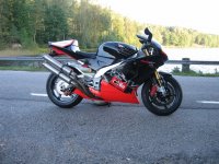 IMG_3279 sh.jpg
