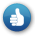 ico.thumb_up.png
