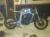 DSC_0042.jpg DSC_0042.jpg
