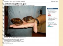 sniglar.jpg