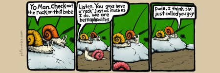 PBF082-Snail_Harassment.jpg