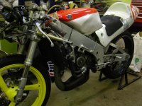 125cc TZ-96.JPG