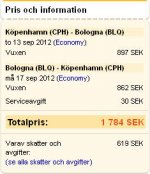 Flyg ToR Bologa.jpg