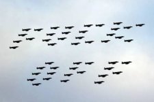 391351_2557396335641_1275979300_3124754_471419650_n.jpg