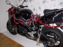 2011-12-18 001.jpg