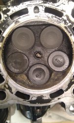 IMG_20111230_172923.jpg