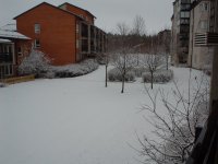 dsc00080.jpg