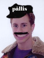 pållis.jpg