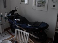 sida snett bakifrån.JPG