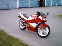 nsr4.jpg