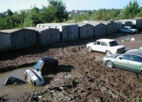 FreeParking.jpg