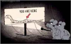 you are here.jpg