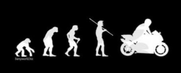 evolution210.jpg