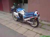 DSC00187.jpg
