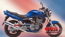 suzuki_gsf_600_bandit_2001_1_lgw.jpg