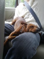 20100612021.jpg