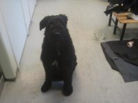 2012-01-29 15.05.22.jpg