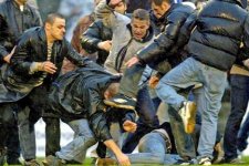 hooligans.jpg hooligans.jpg