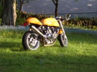ducati sport 002.jpg