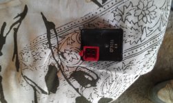 IMAG0313.jpg