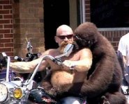 monkey_motorcycle.jpg