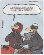 Störigt.jpg