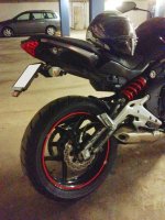 TailTidy.jpg