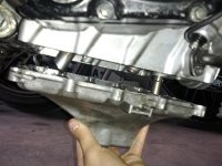 IMG_20120424_160700[1].jpg
